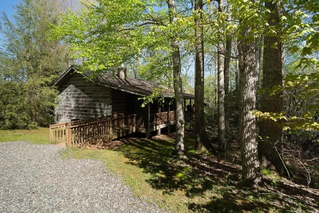 Cozy 'Grey Fox' Cabin Between Boone & Blowing Rock Ngoại thất bức ảnh